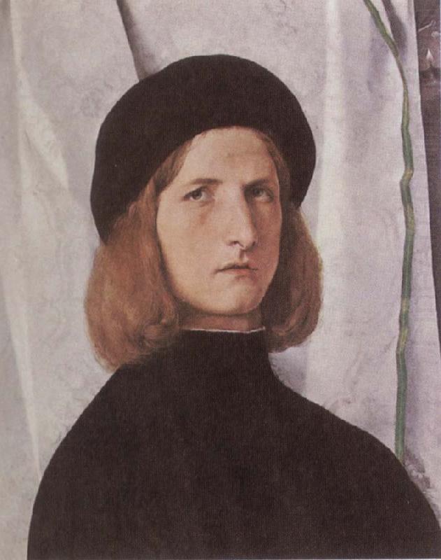 Portrait of a Youth Against a White Curtain, Lorenzo Lotto